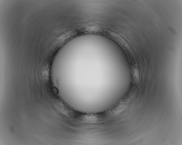 X0000112870668200909041622