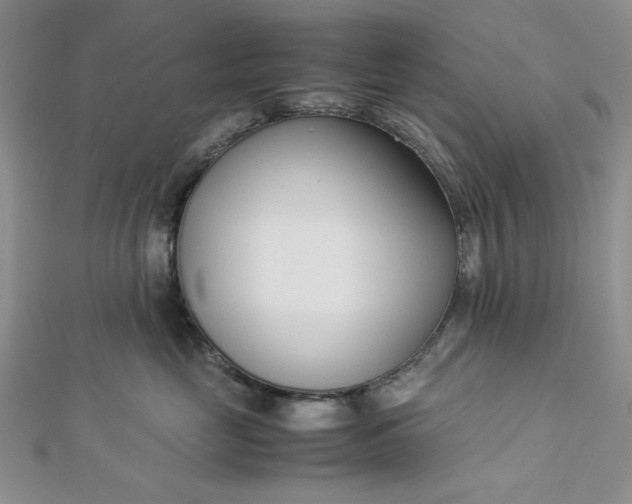 X0000112870669200909041622