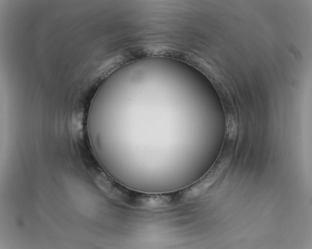 X0000112870670200909041622