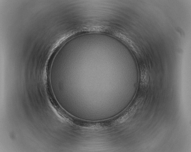 X0000112870674200909041622