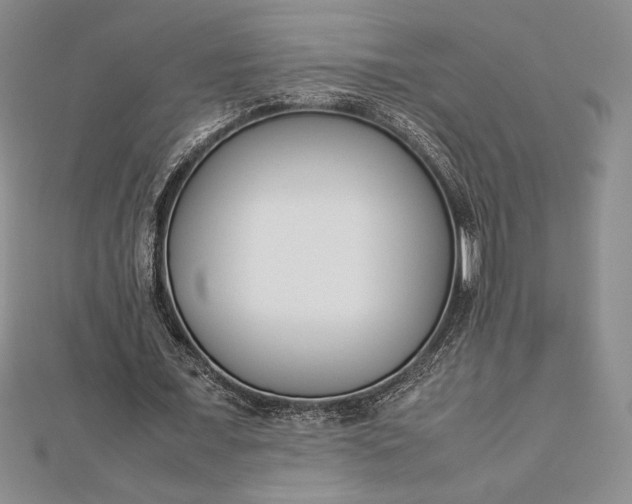 X0000112870675200909041622