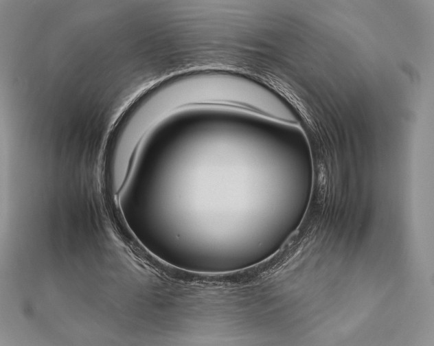 X0000112870676200909041622