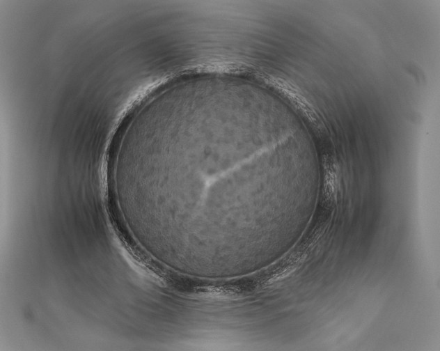 X0000112870678200909041622