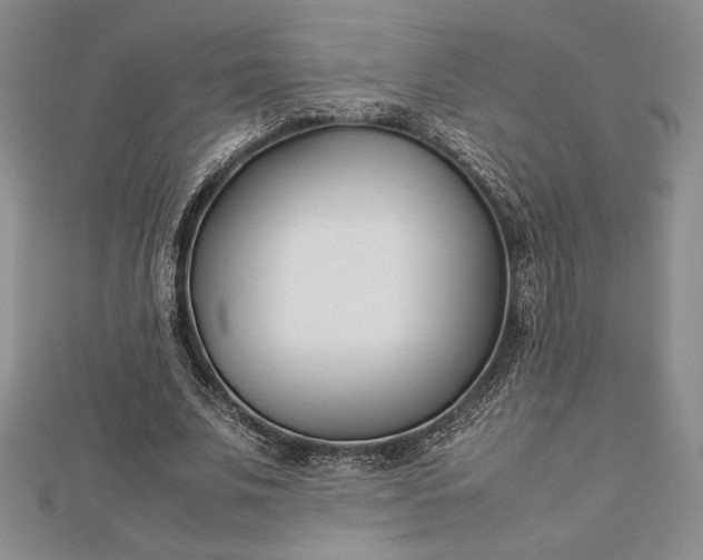 X0000112870679200909041622