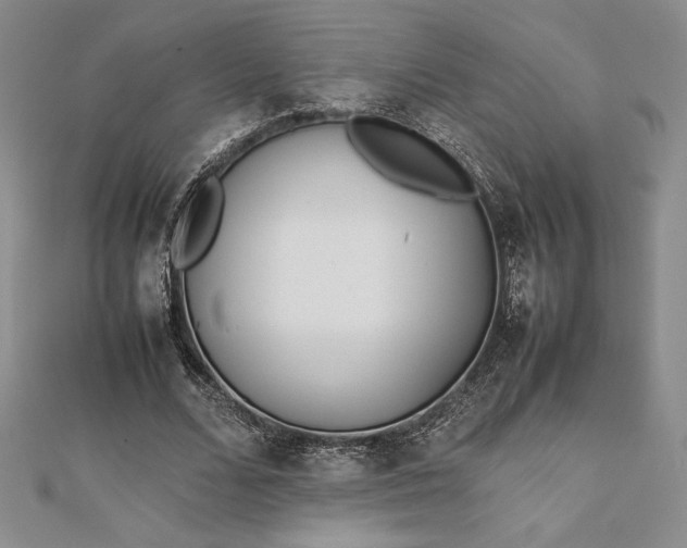 X0000112870680200909041622