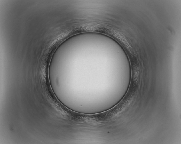 X0000112870681200909041622