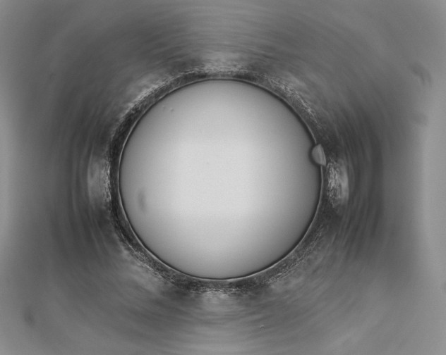 X0000112870684200909041621