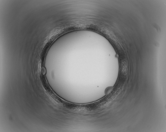 X0000112870685200909041621