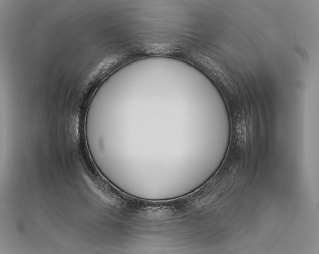 X0000112870686200909041621