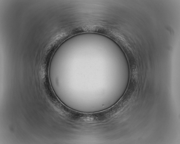 X0000112870687200909041621