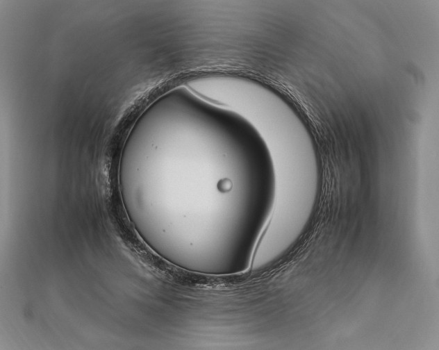 X0000112870688200909041621