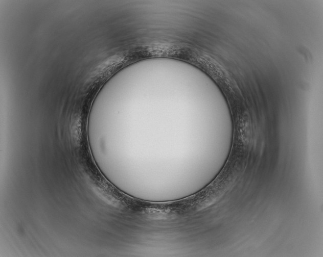 X0000112870690200909041621