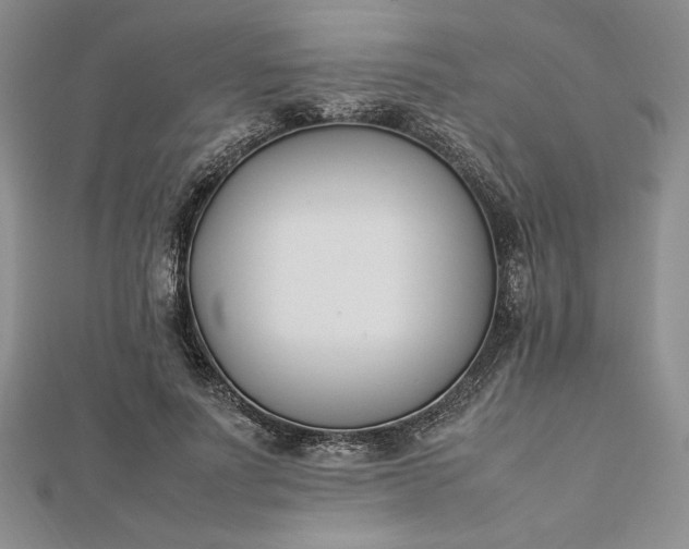 X0000112870691200909041621