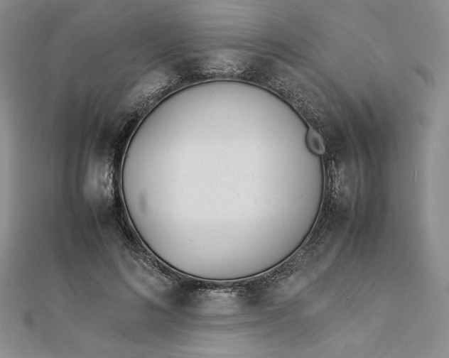 X0000112870692200909041621