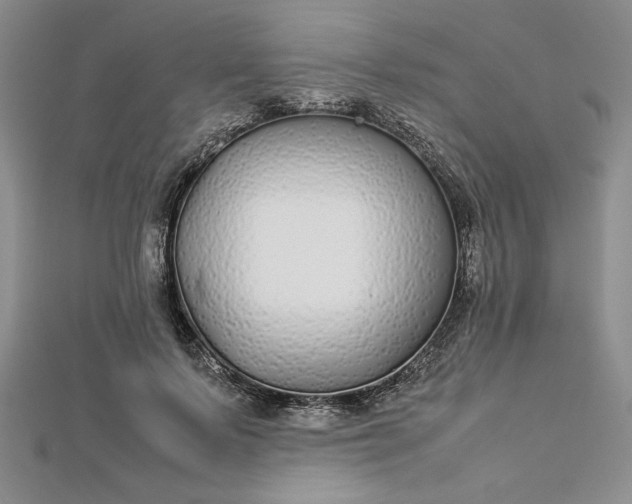 X0000112870695200909041621