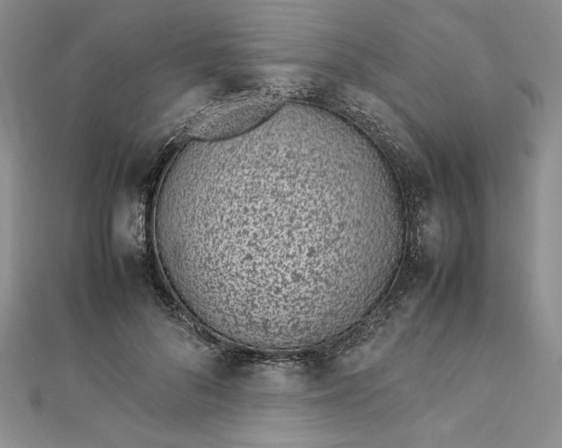 X0000112870696200909041621