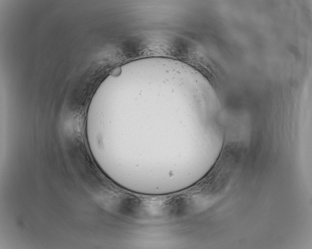 X0000112870701200909041621