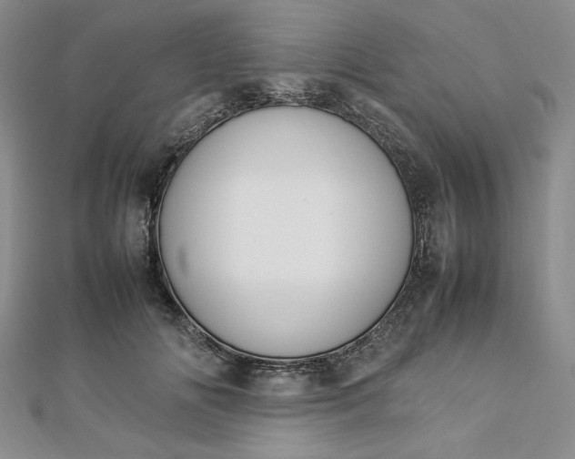 X0000112870702200909041621