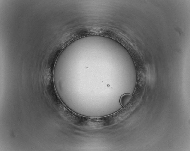 X0000112870707200909041621