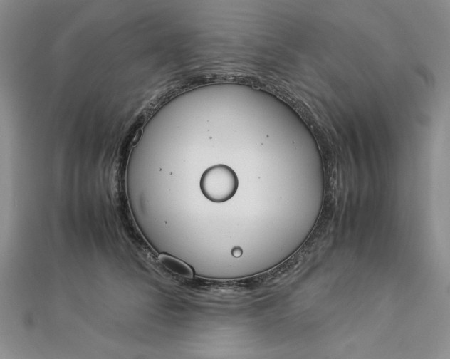 X0000112870708200909041621