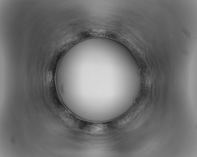 X0000112870711200909041621