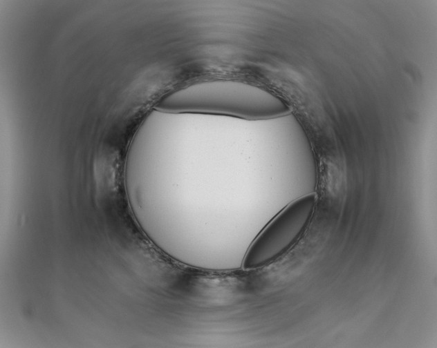 X0000112870712200909041621