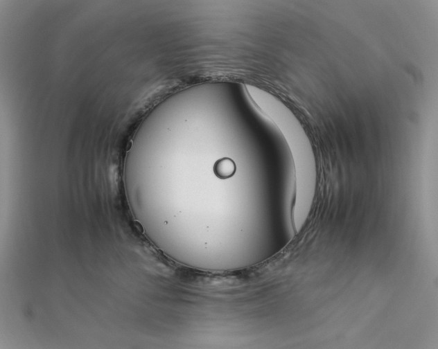 X0000112870716200909041621