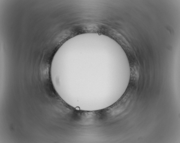 X0000112870717200909041621