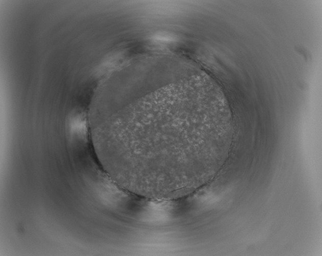 X0000112870720200909041621