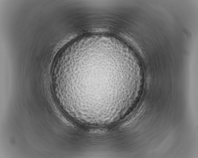 X0000112870721200909041620