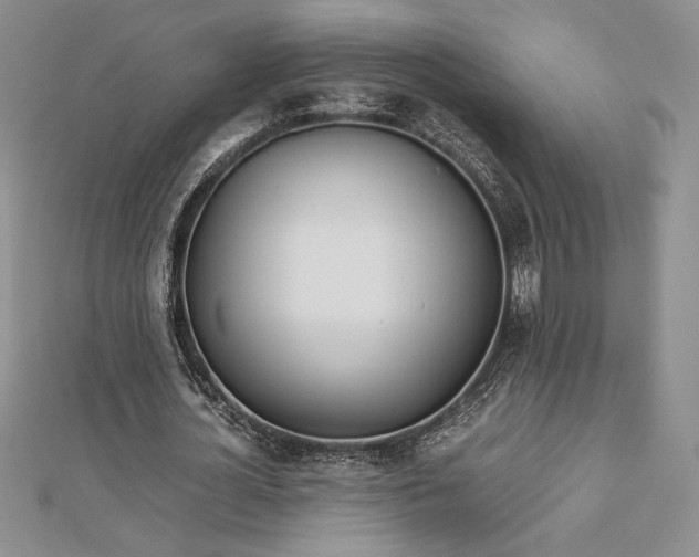 X0000112870724200909041620