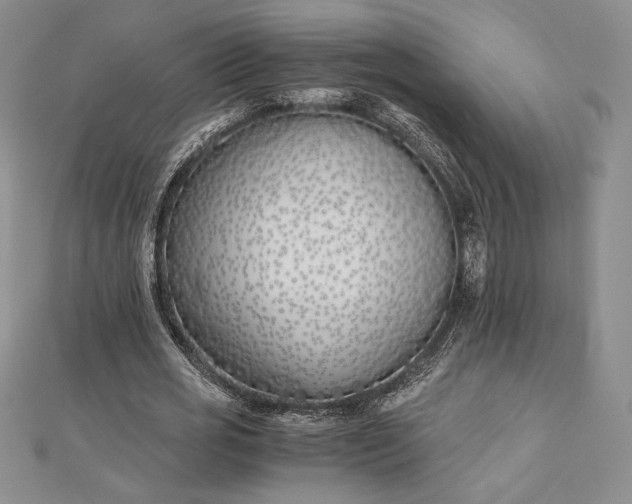 X0000112870725200909041620