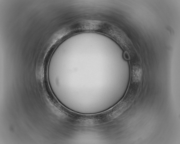 X0000112870726200909041620