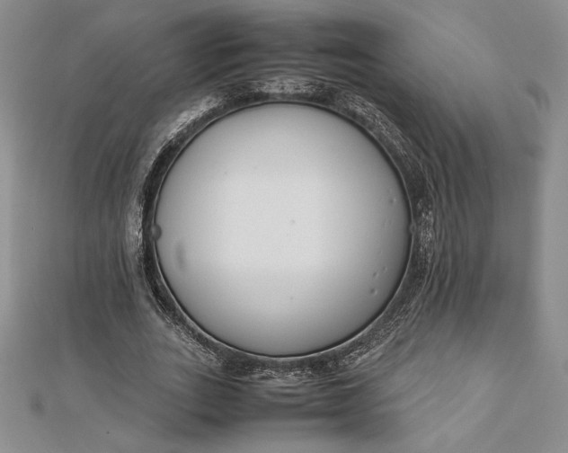 X0000112870727200909041620