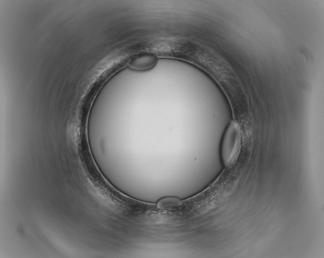 X0000112870728200909041620