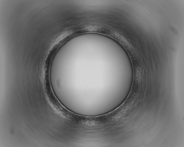 X0000112870730200909041621