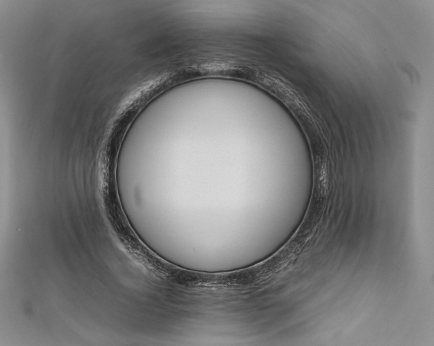 X0000112870732200909041621