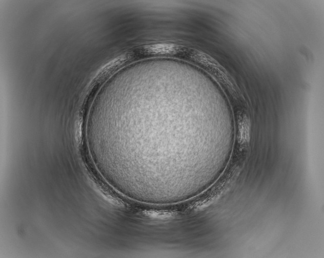 X0000112870733200909041621