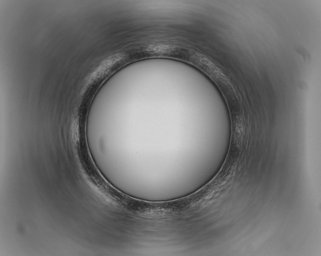 X0000112870734200909041621