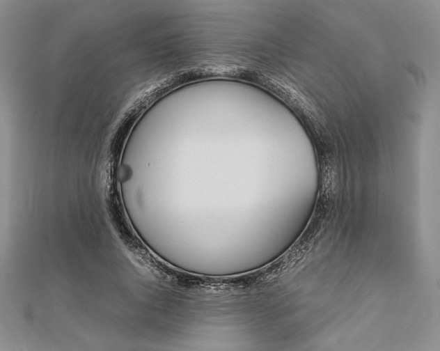 X0000112870736200909041621