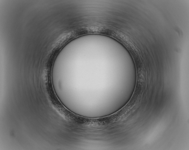 X0000112870738200909041621