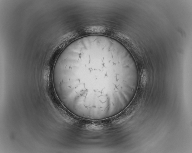 X0000112870739200909041621