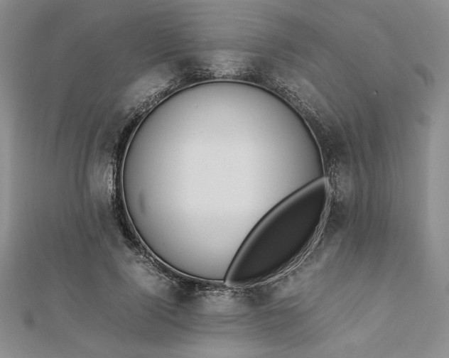 X0000112870740200909041621