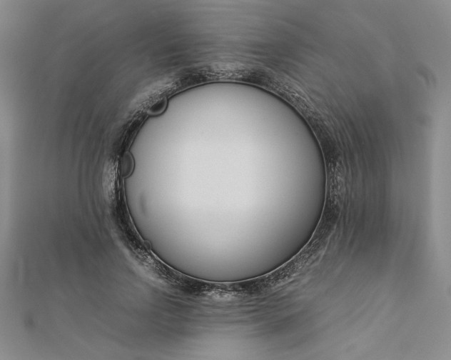 X0000112870742200909041621