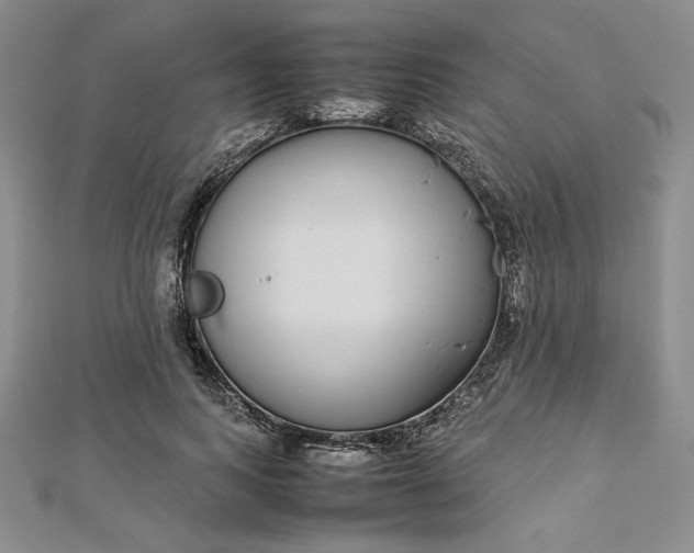 X0000112870743200909041621