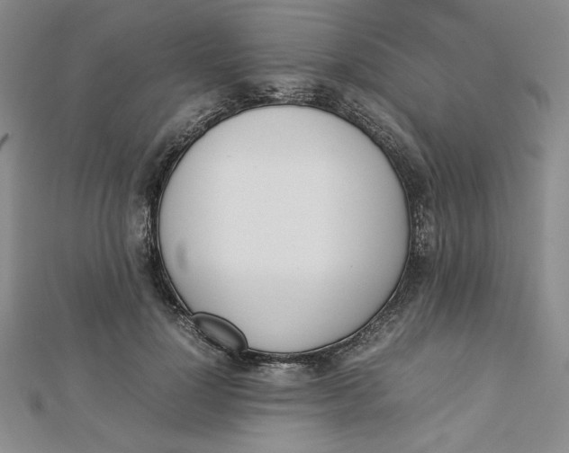 X0000112870748200909041621