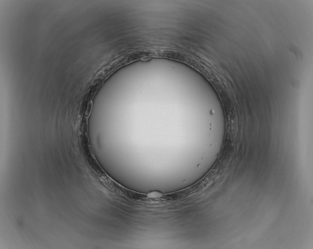 X0000112870750200909041621