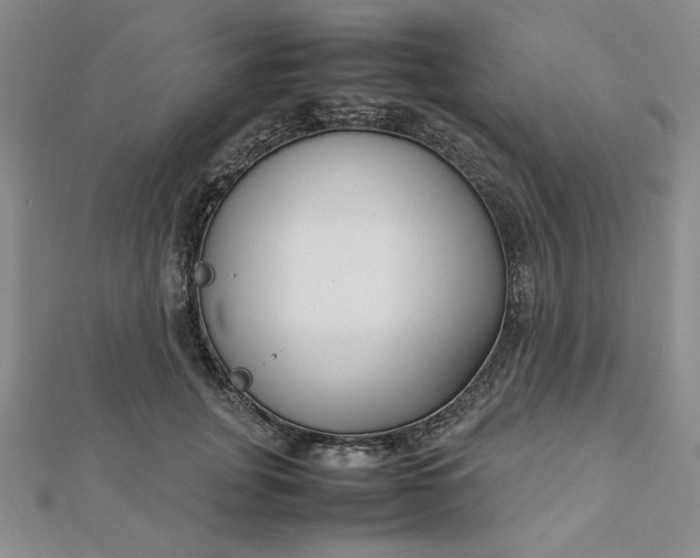 X0000112870751200909041621