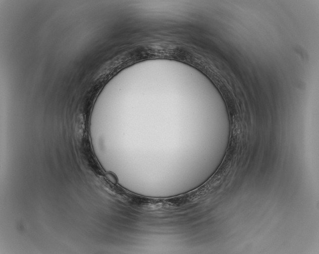 X0000112870752200909041621