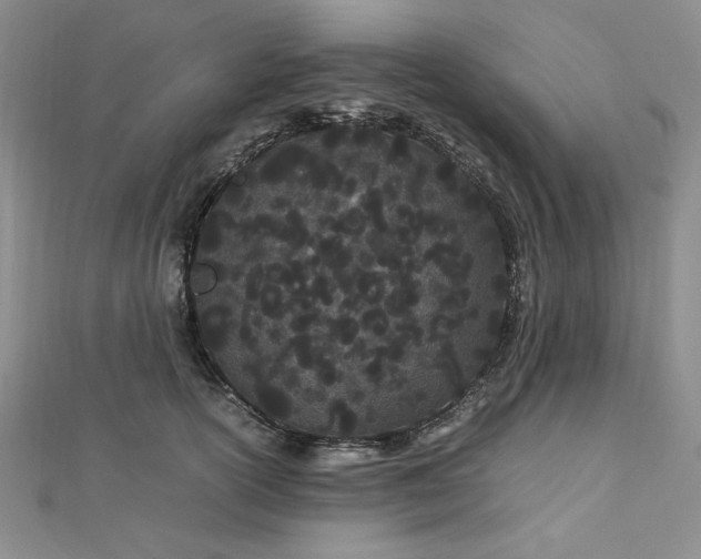 X0000112870754200909041621